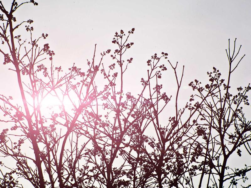 sudoku technique mastery screenshot 4