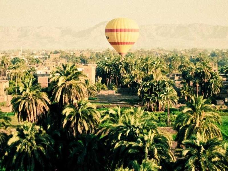 feedback screenshot 2