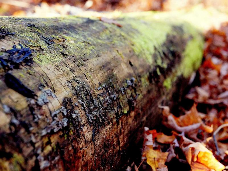 sudoku technique mastery screenshot 2